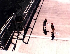 Nick Cronin; Ben Dorrough; bridge near Rochester zoo